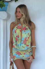 Silver Springs Mini Dress Spring Dream